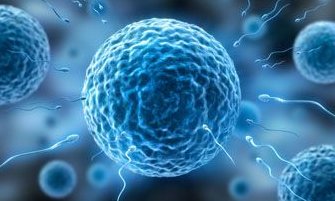 湖北什么医院可以做三代试管移植？有哪些流程步骤？