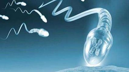 青岛平度市哪个医院做试管婴儿，青岛平度市哪个医院做试管婴儿好