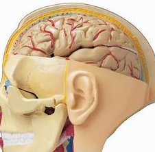 宜昌市不育不孕怎么办？宜昌市治疗不孕不育哪家医院好？
