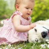 泰国试管婴儿可以选择男女，可以详细说说吗？