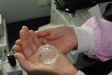 攀枝花市妇幼保健院做三代试管婴儿成功率高不高？什么因素可以影响到试管成功率